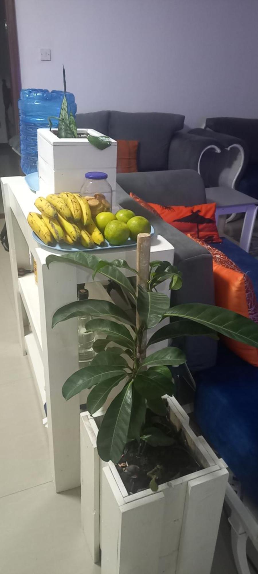 Tcr Residences At Kings Millennium- 3Bdrm Apts, All Ensuite, 7Km To Jki Airport, 7Km To Cbd Nairobi Buitenkant foto